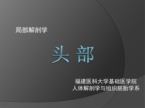局解课件-理论课—头部