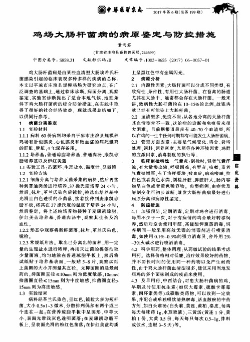 鸡场大肠杆菌病的病原鉴定与防控措施