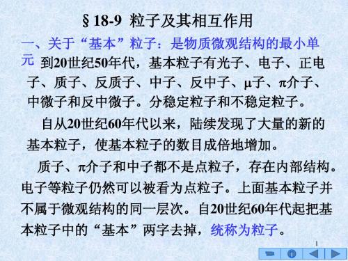 18-9粒子及其相互作用