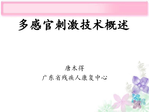 多感官刺激技术概述PPT课件