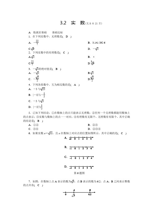 新浙教版七上数学同步练习：第3章 实 数 3.2 实 数