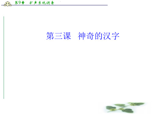语文选修语言文字应用(人教)课件：第三课 第二节 规矩方圆—汉字的简化和规范