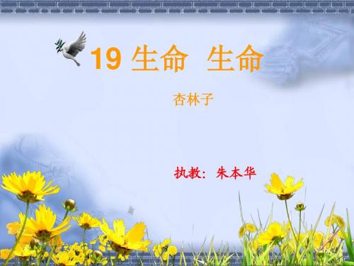 生命生命ppt