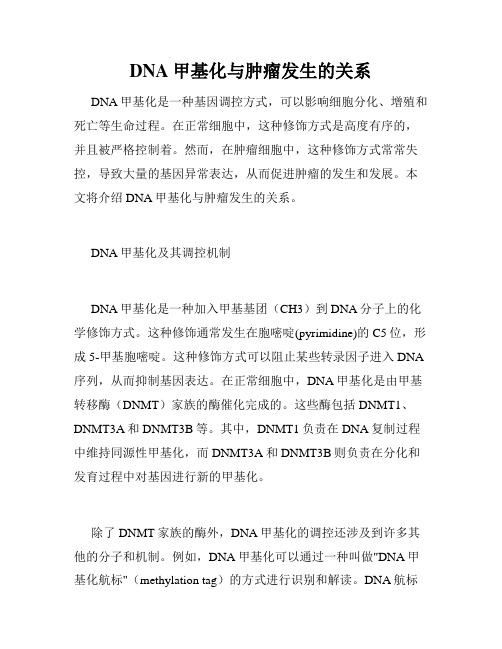 DNA甲基化与肿瘤发生的关系