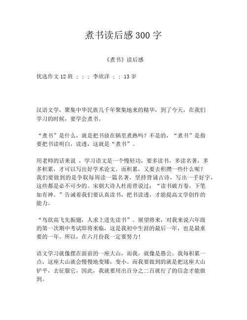 煮书读后感300字