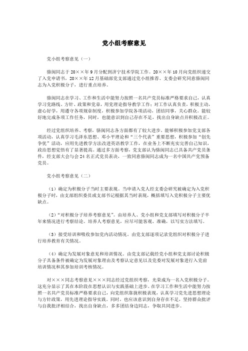 党小组考察意见.doc