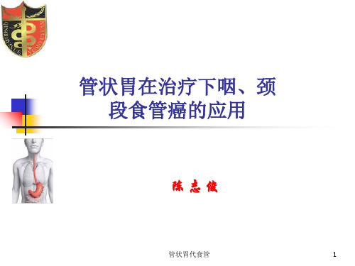 管状胃代食管ppt课件