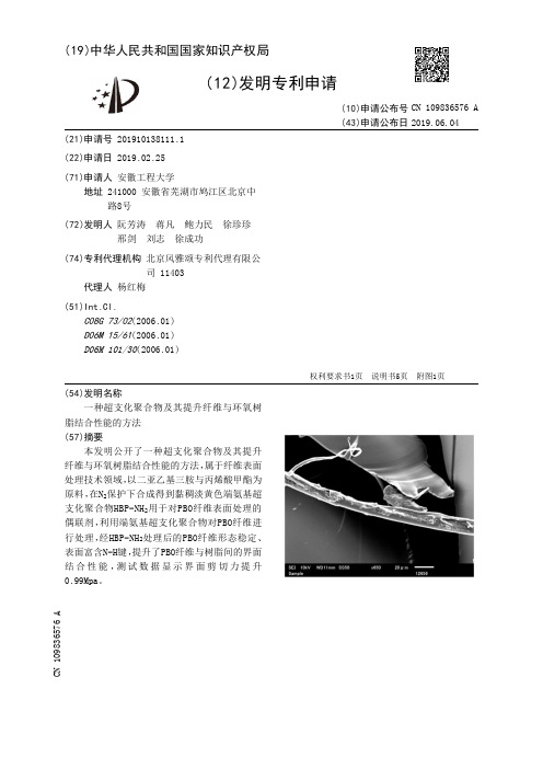 【CN109836576A】一种超支化聚合物及其提升纤维与环氧树脂结合性能的方法【专利】