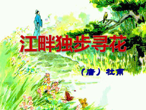 202X语文S版语文四下《江畔独步寻花》ppt课件1