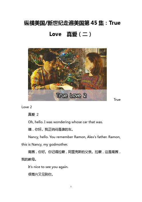 纵横美国-新世纪走遍美国第45集： True Love  真爱(二)