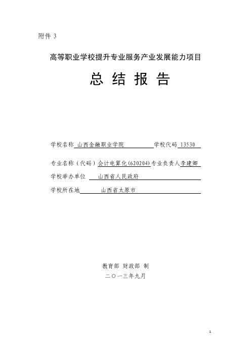 会计电算化专业建设总结报告