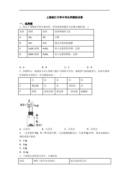 上海徐汇中学中考化学模拟试卷