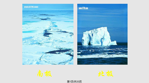 伯格曼法则在北极PPT课件