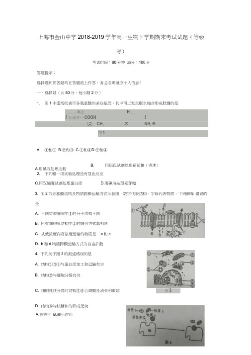 上海市金山中学2018-2019学年高一生物下学期期末考试试题(等级考)