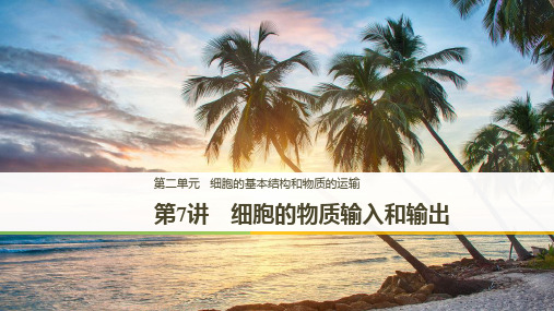 2020高考生物一轮复习课件：第二单元 第7讲 细胞的物质输入和输出 
