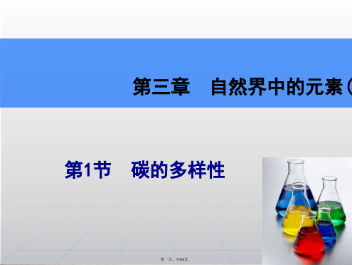 高考化学一轮复习辅导与测试 第3章 第1节碳的多样性课件 鲁科版