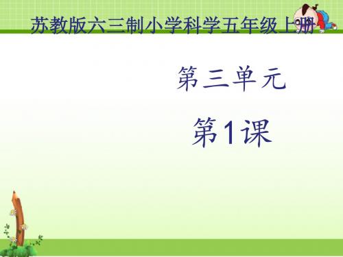 苏教版科学五年级上册课件：《简单电路》课件1