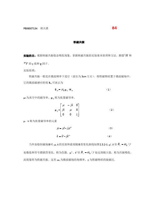 PB06007134_铁磁共振_2008614162541