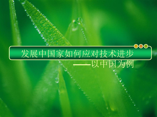 发展中国家如何应对技术进步