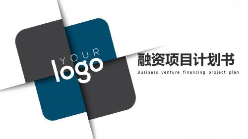 融资项目计划书PPT
