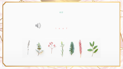 北欧ins风小清新PPT模板 植物水彩创意画册品牌述职工作总结通用 (44)