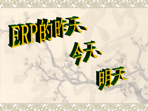 erp宣传
