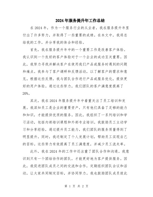 2024年服务提升年工作总结