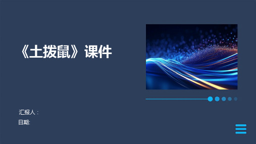 《土拨鼠》课件