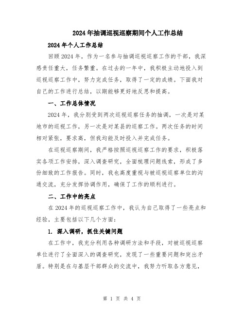 2024年抽调巡视巡察期间个人工作总结