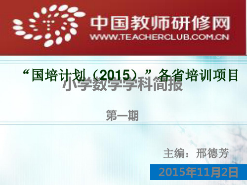 小学数学专家坊第一期简报PPT课件