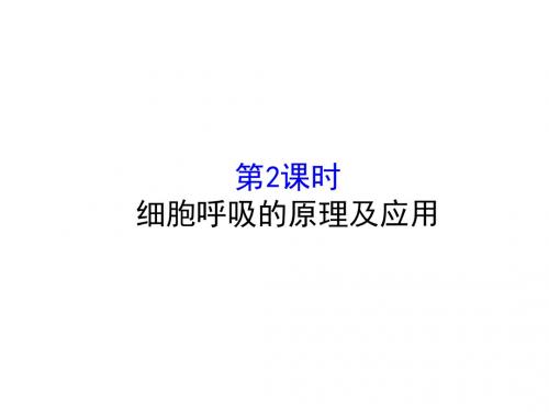 《课时讲练通》2017-2018学年高中生物(人教版)必修一配套课件：5-3-2细胞呼吸的原理及应用