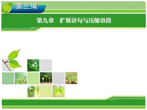 2014高考新课标版语文一轮复习指导课件 第9章 扩展语句与压缩语段