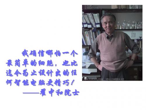【高中生物】细胞器——系统内的分工合作ppt14