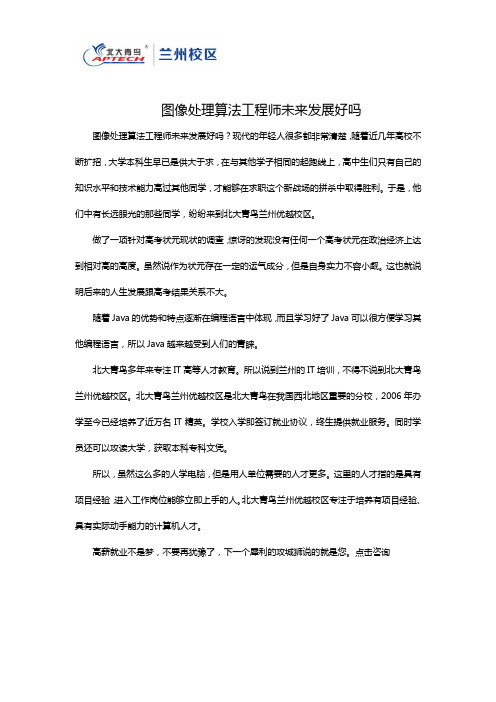 图像处理算法工程师未来发展好吗