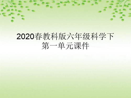 2020春教科版六年级科学下第一单元课件(附目录)