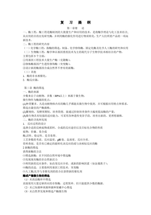 酶工程复习提纲