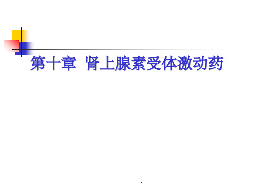 第十章  肾上腺素受体激动药ppt课件