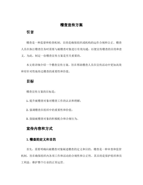 稽查宣传方案