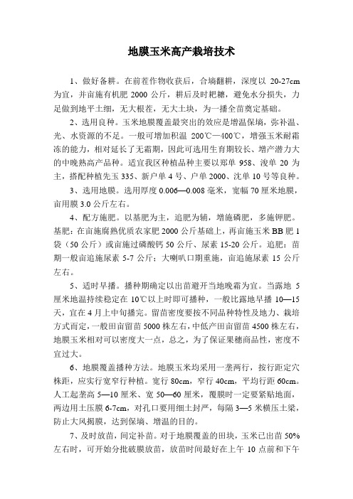 地膜玉米高产栽培技术