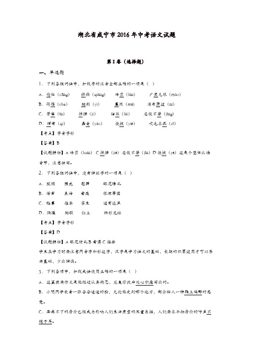 2016年咸宁市中考语文试题及答案解析版