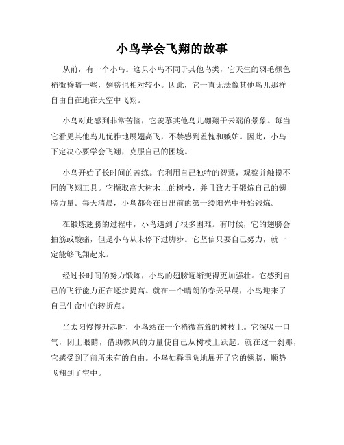 小鸟学会飞翔的故事
