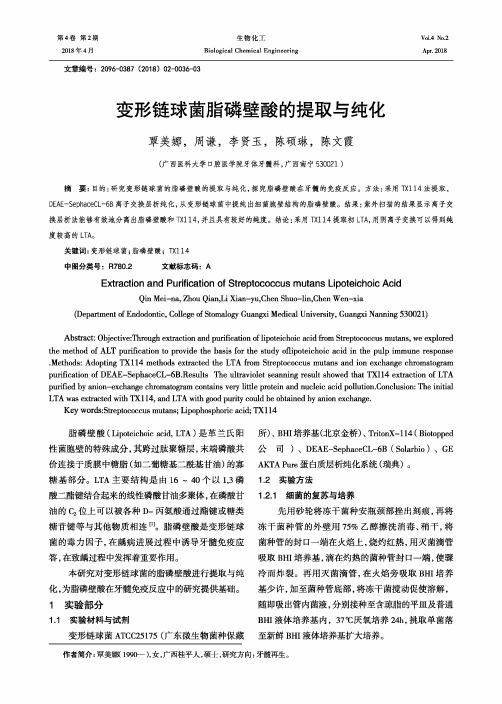 变形链球菌脂磷壁酸的提取与纯化