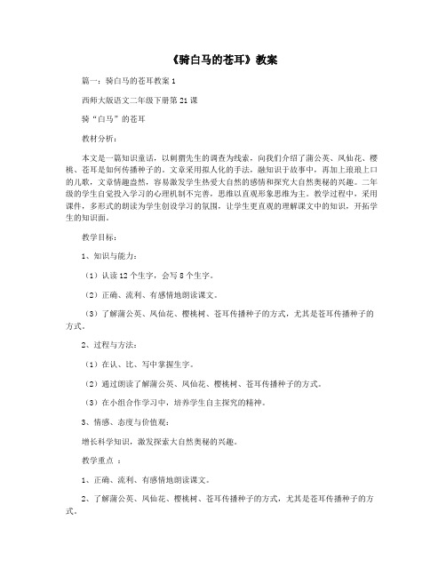 《骑白马的苍耳》教案