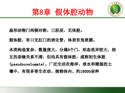 8假体腔动物门