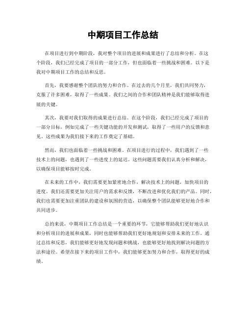 中期项目工作总结