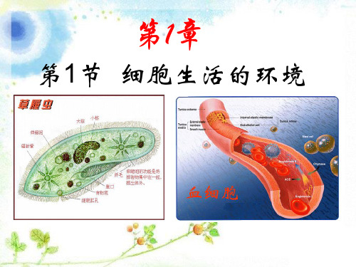 人教版高中生物必修三之《细胞生活的环境》教学课件