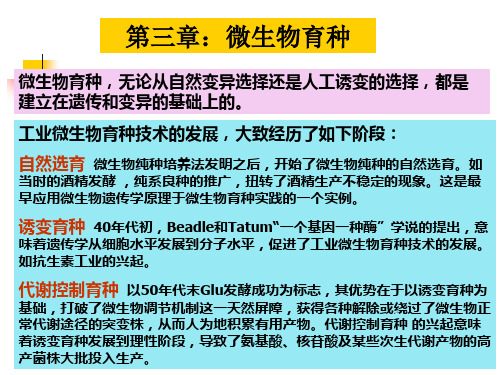 (推荐)《微生物育种》PPT课件