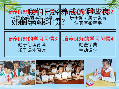 【优文档】苏教版三上《培养良好的学习习惯》PPT