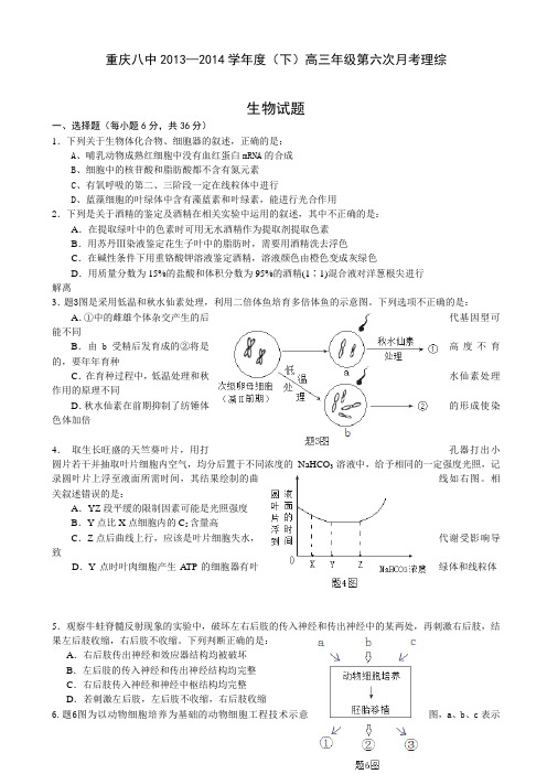 【全国百强校】重庆八中2014届高三第六次月考 生物