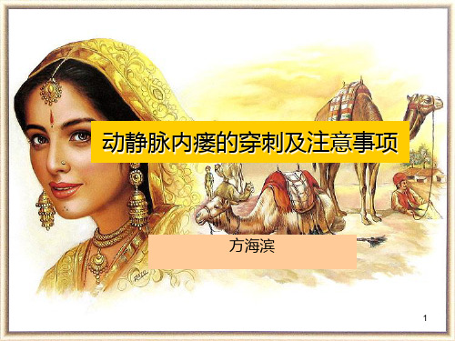 动静脉内瘘穿刺的注意事项PPT课件